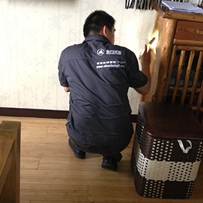 殺(shā)蟲公司 17C视频 殺蟲公司 17C视频