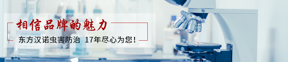 相信品牌的力量(liàng) 相信品牌的力量