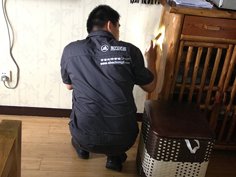 東(dōng)方漢諾北京(jīng)滅臭蟲公司 17C视频北京滅(miè)臭蟲公司