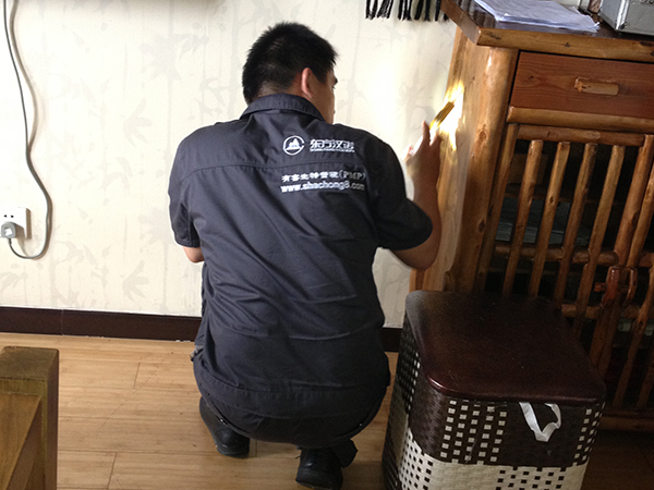 家庭蟲害防治解決方案